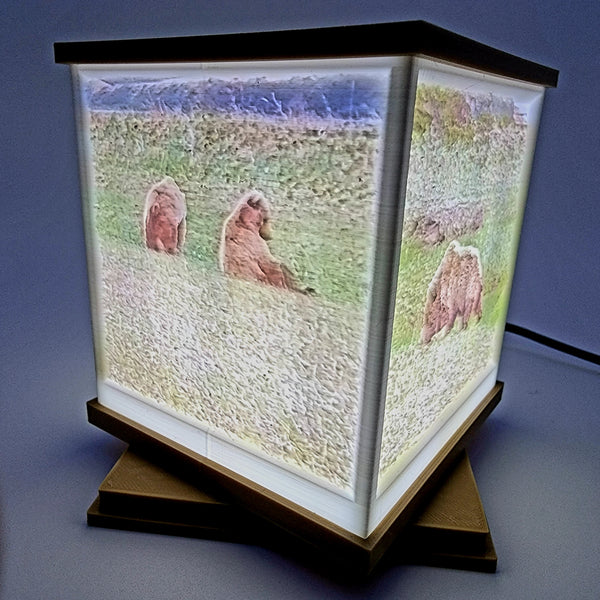 Anime & Animal Light Boxes