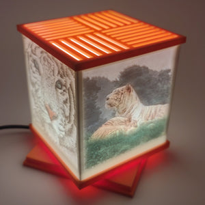 Anime & Animal Light Boxes